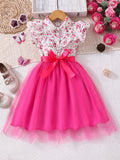 Girls' (tall) dress, long-sleeve collared floral mesh dress (includes ribbon)
