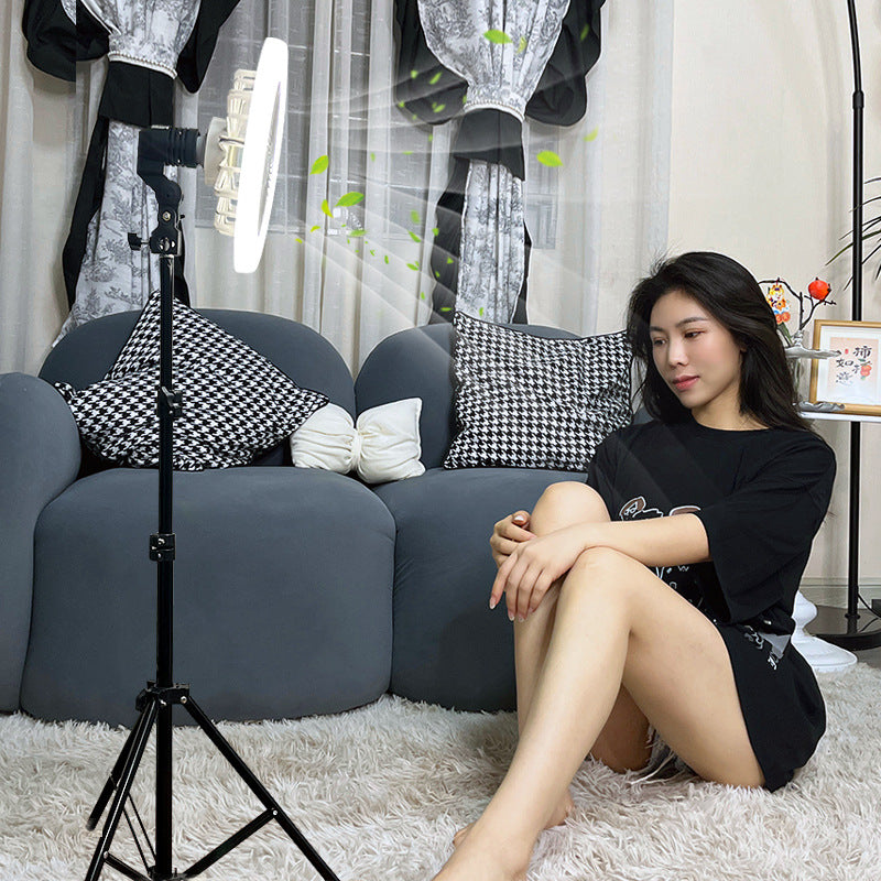 New arrivalled fan light e27 screw live broadcast fan light energy-saving dormitory floor stand remote control light wind and dimming