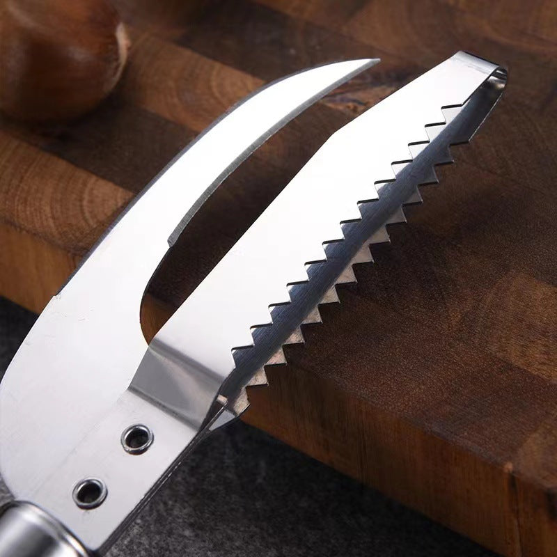 Stainless steel fish scale remover & belly flusher - 2-in-1 multi-tool for s scaling and gutting