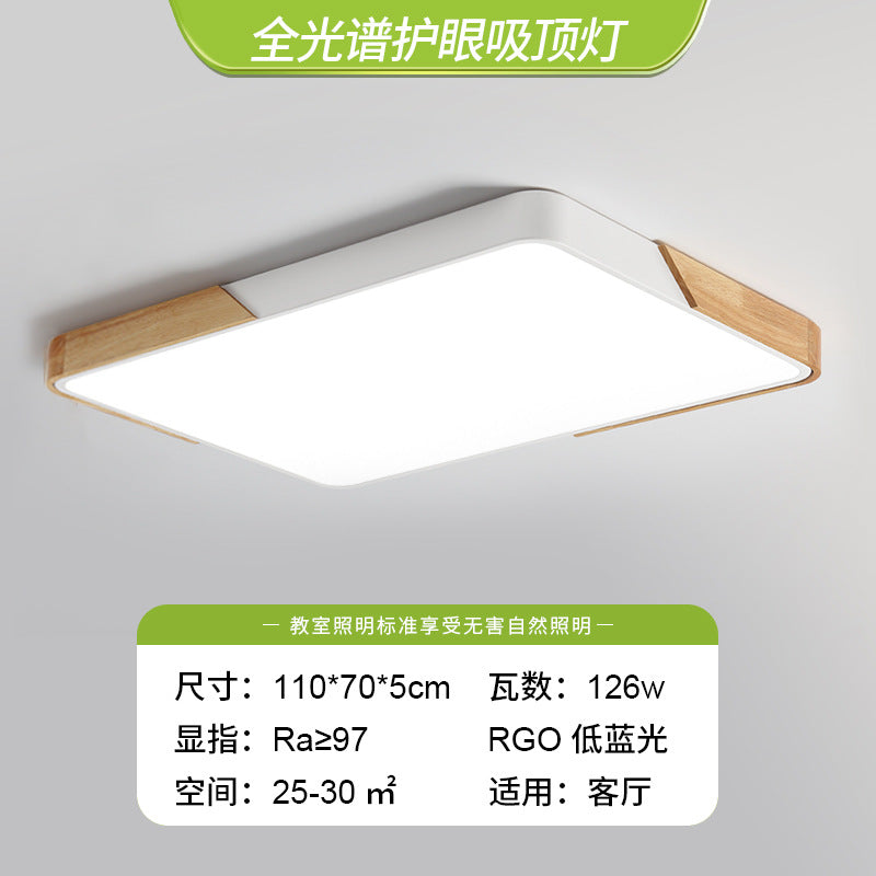 Living room light 2025 new Nordic led ceiling light simple modern creative room bedroom light Zhongshan lighting