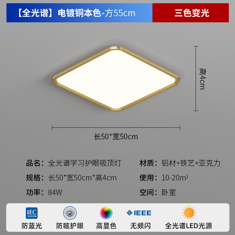 Zhongshan Modern Simple Living Room Light Ceiling Light 2025 New Puri Full Spectrum Eye Protection Bedroom Room Lighting