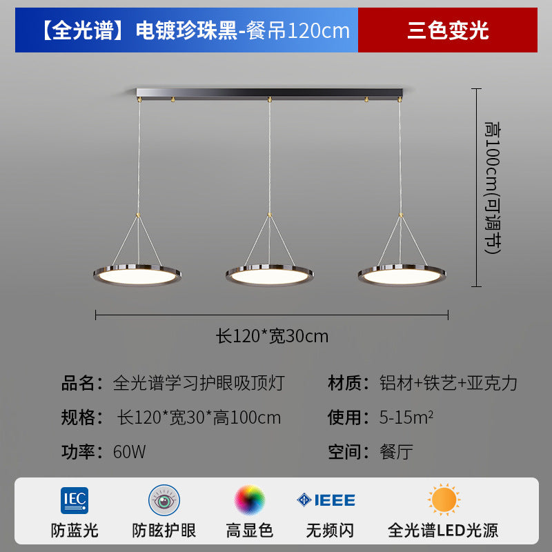 Zhongshan Modern Simple Living Room Light Ceiling Light 2025 New Puri Full Spectrum Eye Protection Bedroom Room Lighting