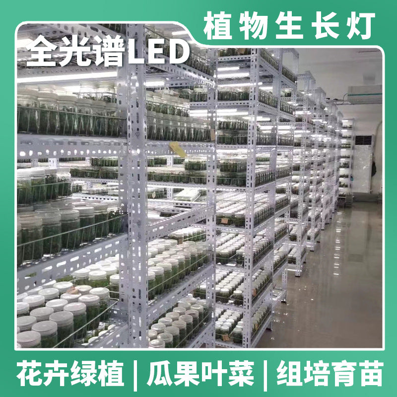 Tissue culture special lamp imitation sun led plant growth lamp full spectrum tissue culture lamp T5T6 with switch lamp