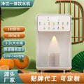 3.5l large capacity water purifier all-in-one instant heating water dispenser for home desktop portable cross-border us standard