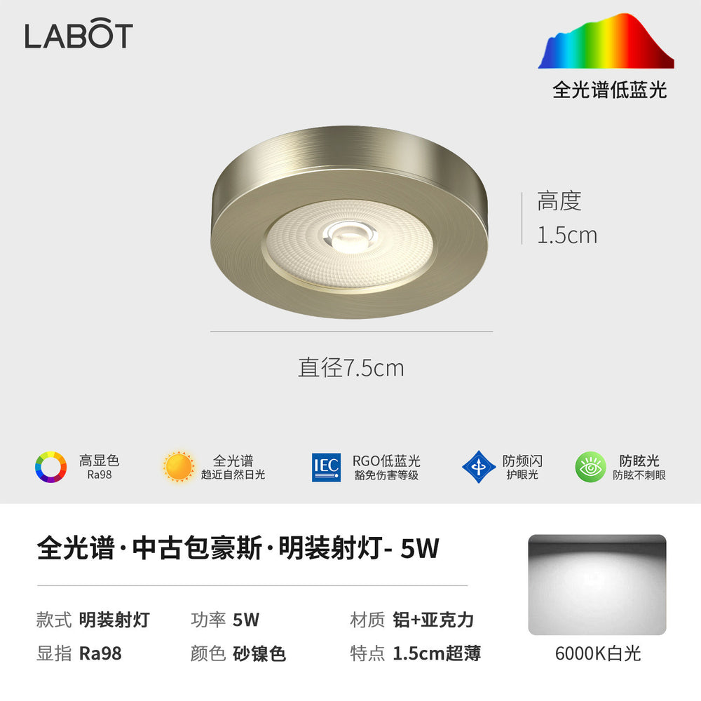 Bauhaus minimalist aisle corridor ultra-thin surface-mounted downlight spotlight retro industrial style anti-glare ceiling fixture (no main light)