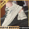 Men's shoes 2025 spring new korean style trendy breathable sneakers casual fashion shoes men's versatile height increasing dad shoes