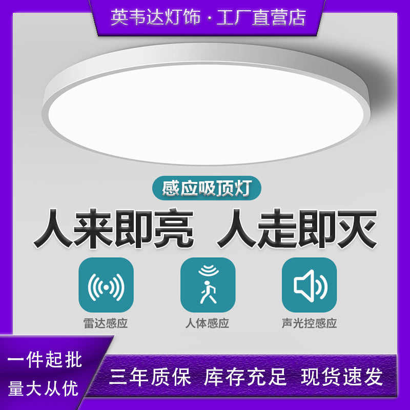 Motion sensor ceiling light - ideal for stairs, hallways, and corridors - infrared human radar sensor, smart voice control