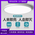 Motion sensor ceiling light - ideal for stairs, hallways, and corridors - infrared human radar sensor, smart voice control