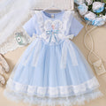 Girls' princess dress - summer kids' stylish & cute elsa long-sleeve tutu dress - little girl's elsa dress
