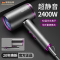Professional salon hair dryer - high velocity, powerful, negative ion, quick drying for home or barber shop use