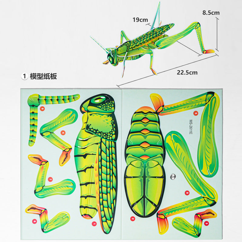 KT grasshopper, technology small production handmade DIY splicing primary school students insect cognition science education science experiment package