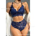 European and american cross-border sexy lingerie set - multicolor plus size bra and panty two-piece set - sexy lace erotic lingerie set