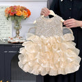summer new girls' princess dress - birthday sequin winged dress - first birthday party gown - stylish baby girl outfit