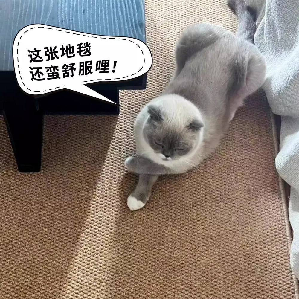 Imitation sisal anti-cat scratching carpet living room photo studio bedroom bedside japanese style tatami pure color linen photo mat