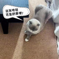 Imitation sisal anti-cat scratching carpet living room photo studio bedroom bedside japanese style tatami pure color linen photo mat
