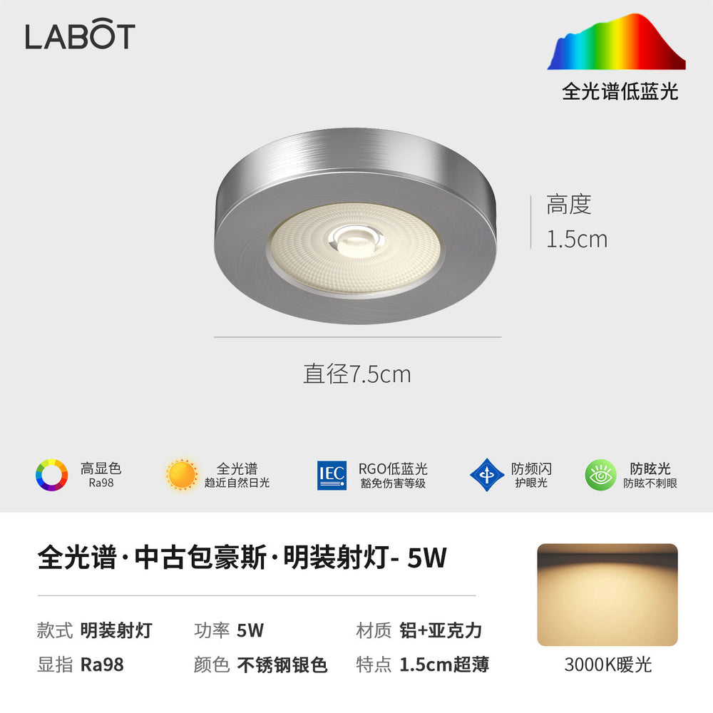 Bauhaus minimalist aisle corridor ultra-thin surface-mounted downlight spotlight retro industrial style anti-glare ceiling fixture (no main light)