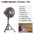 Camping fan usb treasure mosquito killer ceiling fan desktop tripod lamp usbusb charging mosquito repellent fan lamp for home