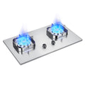 Household gas stove stainless steel double burner natural gas lpg stove wholesale custom high heat output