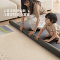 Removable and washable carpet living room bauhaus blue coffee table sound insulation dopamine medieval detachable double layer carpet bedroom