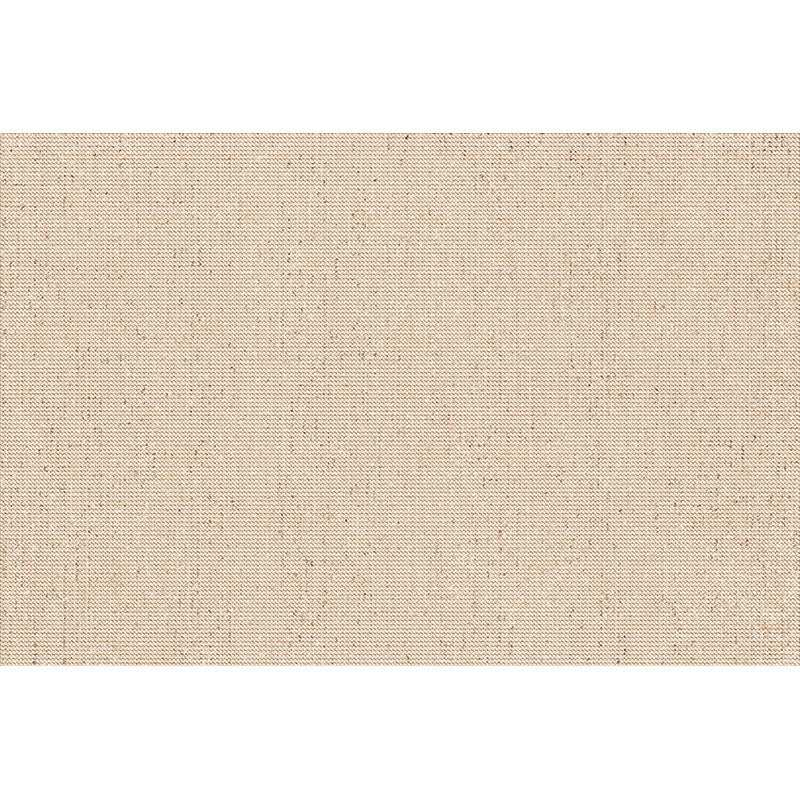 Carpet living room classy sofa coffee table blanket large area stain-resistant no-wash wipeable waterproof floor mat bedroom bedside blanket