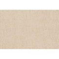 Carpet living room classy sofa coffee table blanket large area stain-resistant no-wash wipeable waterproof floor mat bedroom bedside blanket