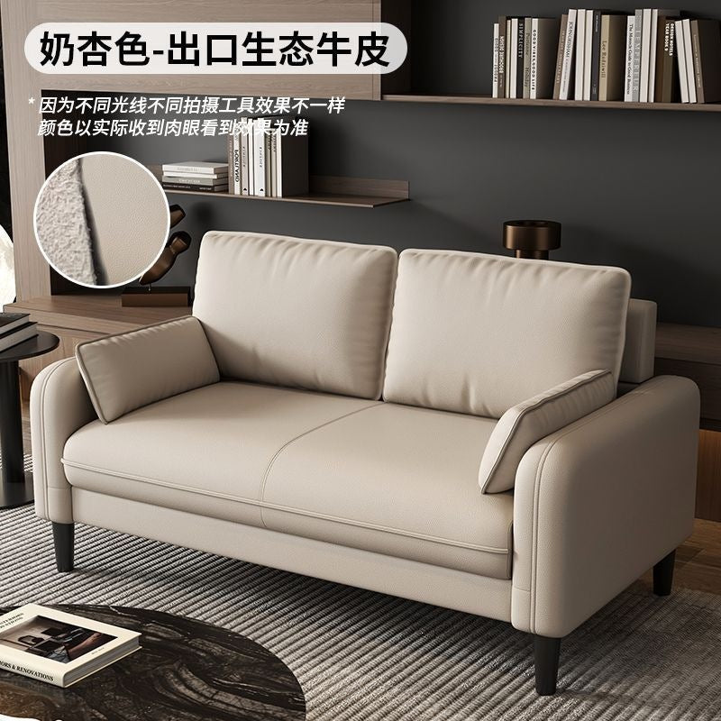 Small apartment sofa double three-person accessible luxury apartment rental room rest area reception clothing store b&b cat scratching leather wood