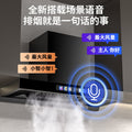 Wholesale royalstar high suction range hood for home top suction kitchen new arrival european style small exhaust range hood