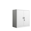 Divided lower section low cabinet steel iron cabinet office financial storage with file cabinet information cabinet for home balcony cabinet