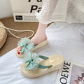 Summer new fashion bowknot platform flip-flops women's mid-heel non-slip sandals beach vacation travel shoes