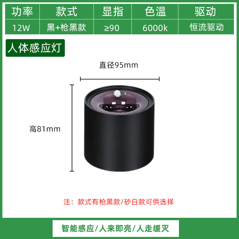 Three pine sensor lights Human body induction embedded ceiling lights Entry door aisle balcony entrance intelligent light control lights