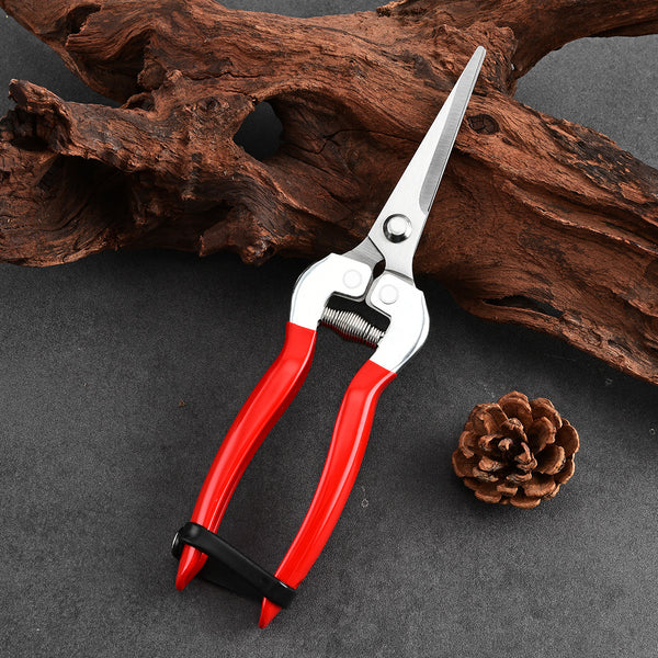 Orchard fruit picking shears grapes melon fruit scissors garden fruit tree flower branches grafting gardening scissors tool factory