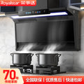 Wholesale royalstar high suction range hood for home kitchen free disassembly and washing rental roof side double suction range hood