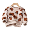 Boys' sweatshirt - spring/autumn collection : stylish and trendy korean design for mid-to-large children. cool and fashionable autumn apparel