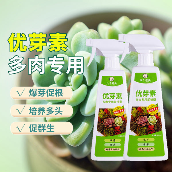 Youbutin Succulent Special Nutrient Solution Fertilizer Blaster Promote Multi-head Bud Cell Kinin Enhance Color
