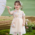 cross-border exclusive: girls' summer dress - chinese style embroidered mesh princess dress + bag two-piece set