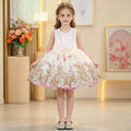 Girls' dress  summer new collection - baby tutu dress, stylish princess sweetheart, trendy children's princess tulle dress