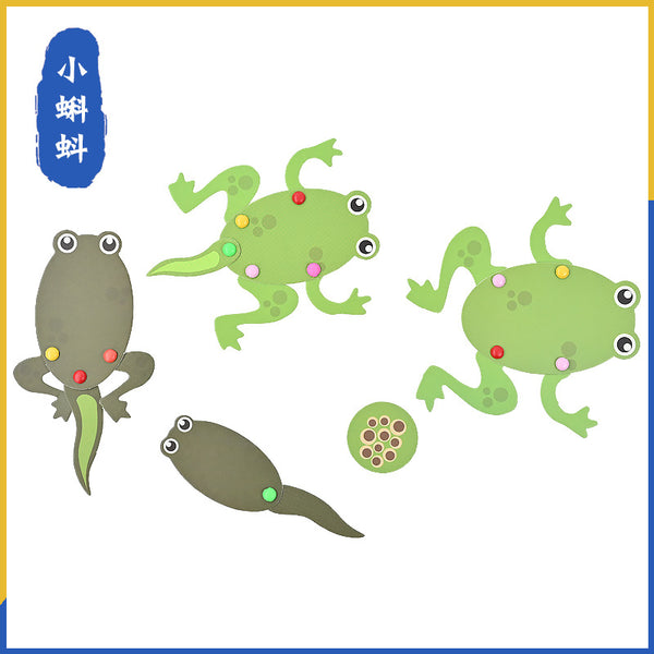 The little tadpole has grown up, the kindergarten handmade materials DIY technology small production scientific experiment frog life recommendation