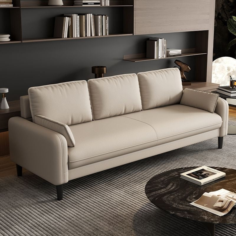 Small apartment sofa double three-person accessible luxury apartment rental room rest area reception clothing store b&b cat scratching leather wood