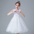 Export toddler kids dress sequinlace princess dress baby girl birthday dressbaby dress