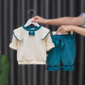 Spring & fallnew arrival infants and young children go out k-stylelong sleevestwo-piece set baby girl style flying sleeves casual elegant suit infant