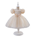 Export kidswedding dress skirt puffy mesh princess skirt 3-15 years old medium and large children's clothing girl white performance costume