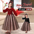 Ready-to-ship children's formal dresses, new  christmas princess dresses for girls, autumn and winter tutu skirts, halloween costumes