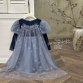 Girls' spring dress new : stylish baby girl birthday dress, fleece-lined and thickened, elsa princess dress, trendy style