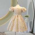 French court style girls' new cute dress birthday first birthday princess dress flower girl tutu dress in stock