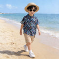 Kids' clothing boys' shirt short sleeve set, boys' short sleeve shirt, boys' clothing, baby boy shirt set