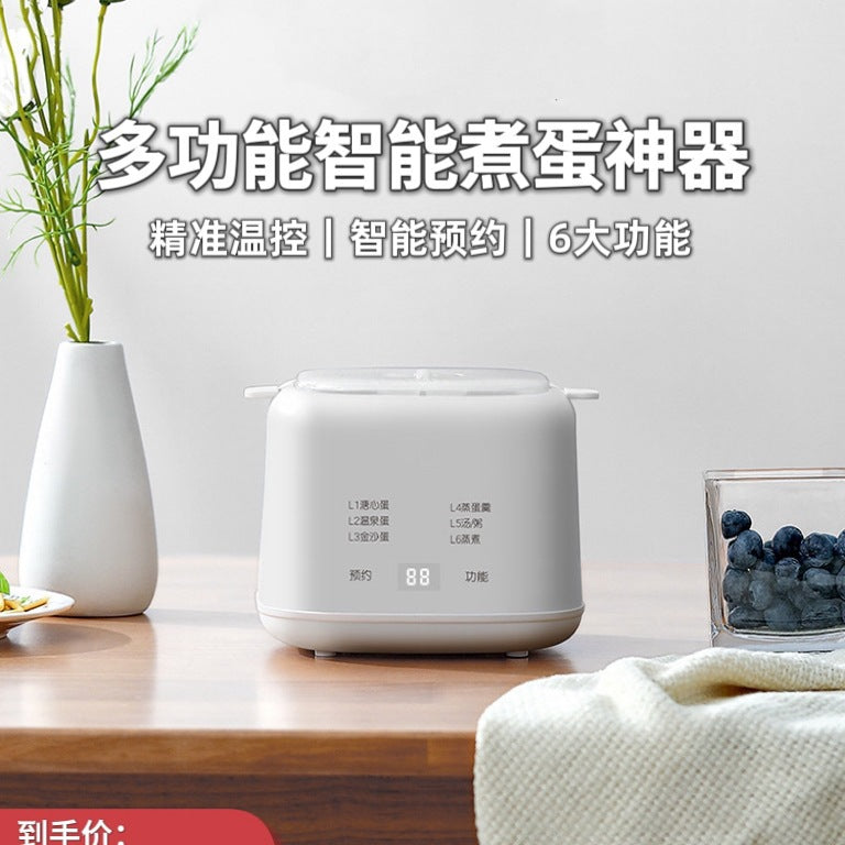 German egg cooker 2025 new automatic power-off home small multifunctional dormitory smart steamer - cross-border