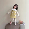 Girls' dress - cute  autumn/winter collection - new stylish winter vest princess dress for kids