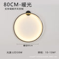 Type a 80cm warm light internal luminescence
