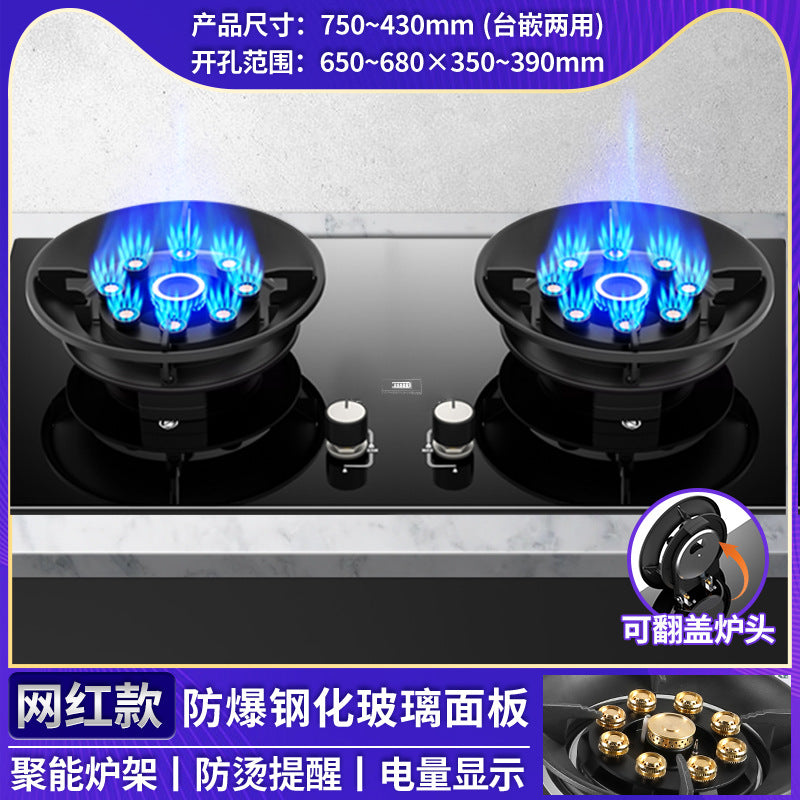 Wholesale royalstar gas stove double stove for home natural gas gas stove embedded liquefied gas energy saving fierce fire