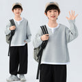 Boys' minimalist chic two-piece look long sleeve tee - new spring/autumn casual style for boys - versatile base layer sweatshirt ( collection)